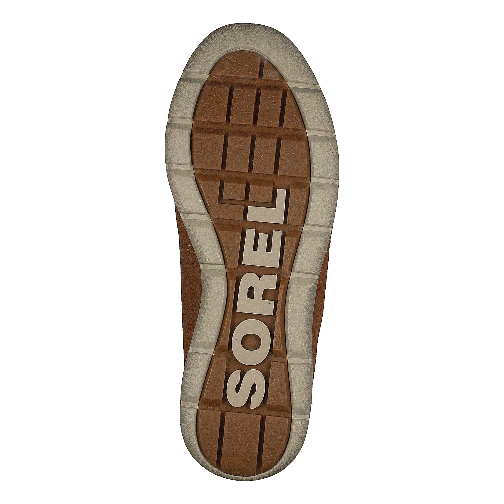 Sorel Explorer Joan 224 Camel Brown, Ancient Fossi