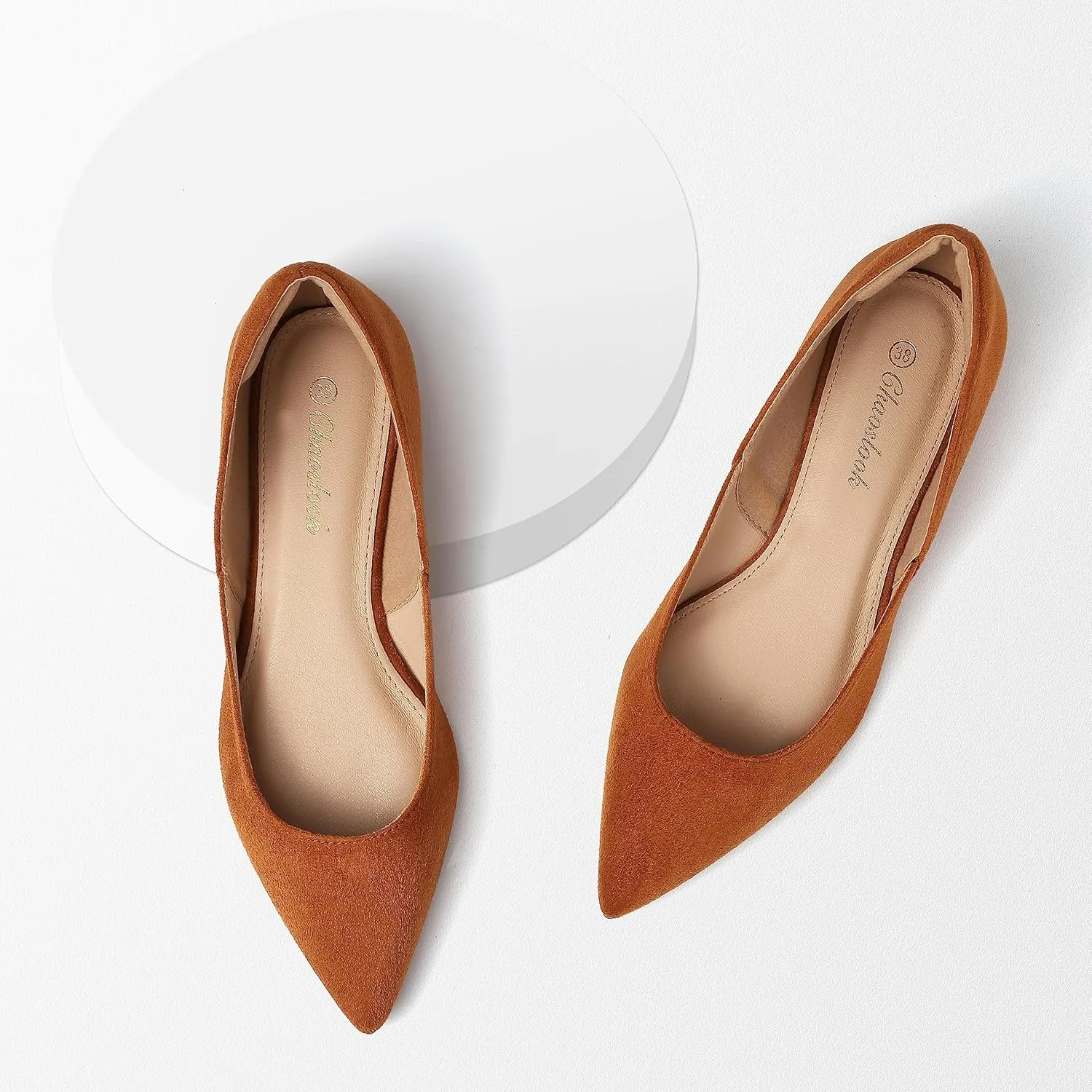 Womens Pointed Toe Black Ballet Flats Comfortable Casual Dress Flats for Women Elegant Memory Foam Flats with Party Wedding
